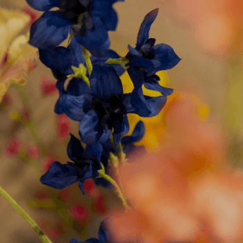colours mobiel 1