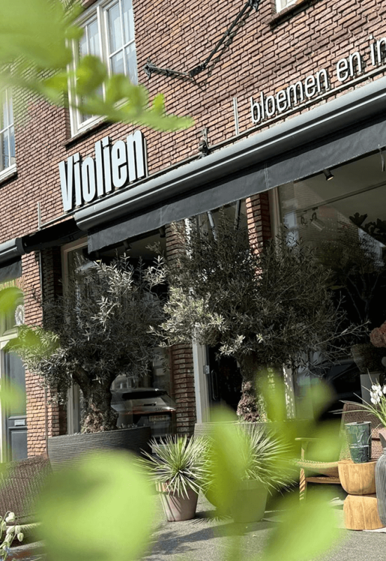 Violien Bloemen Breda