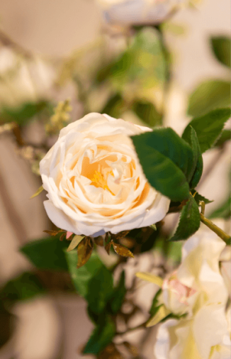 Zijden bloemen breda