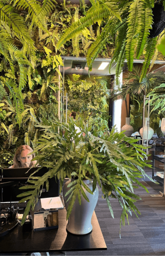 groene plantenwand