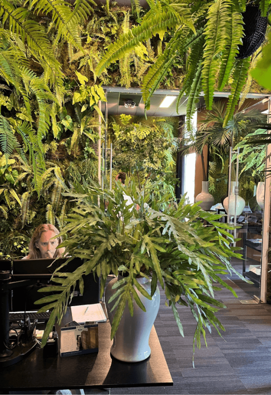 groene plantenwand